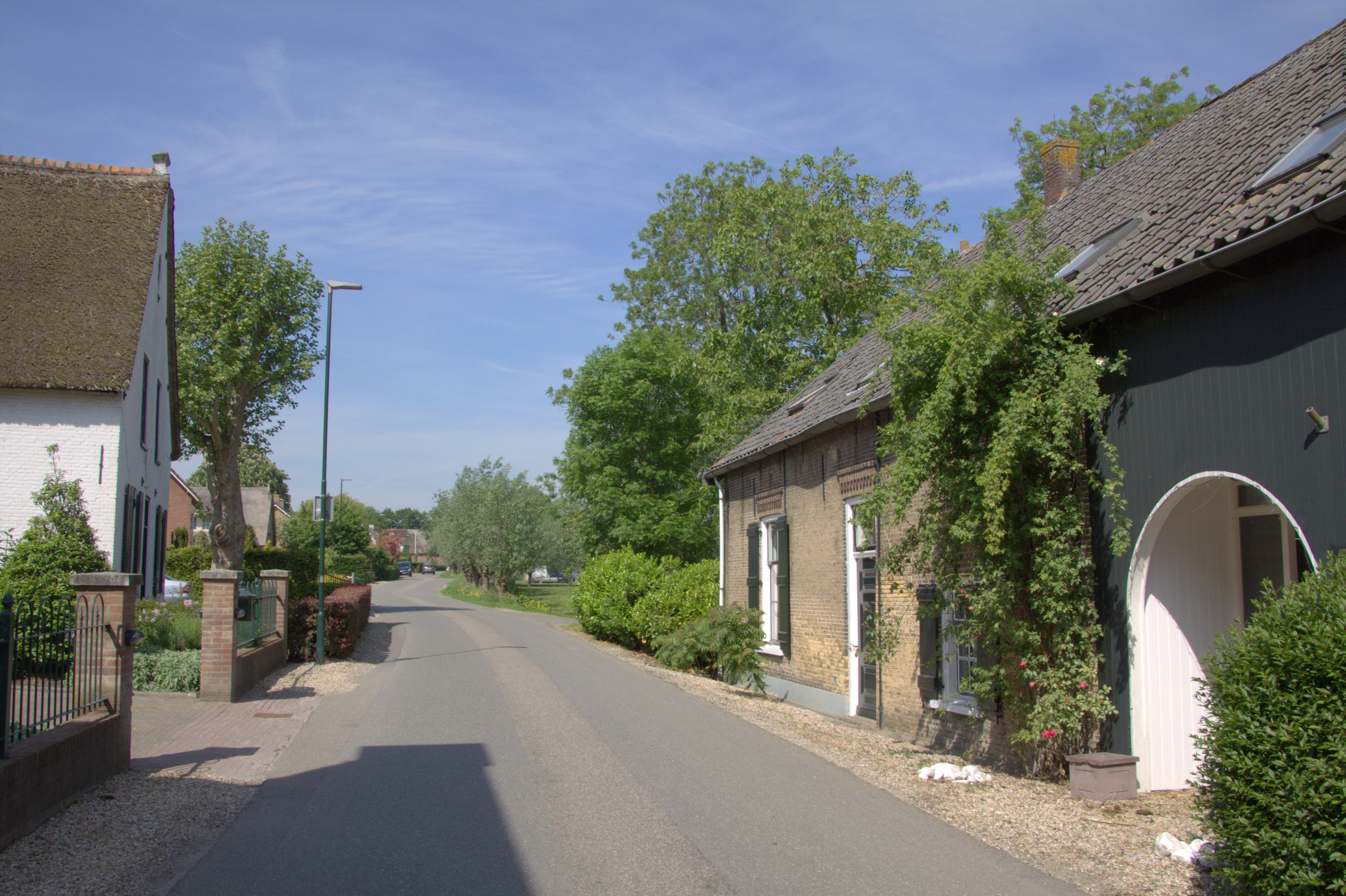 E-commerce bureau Giessenburg - professionele webshops Alblasserwaard