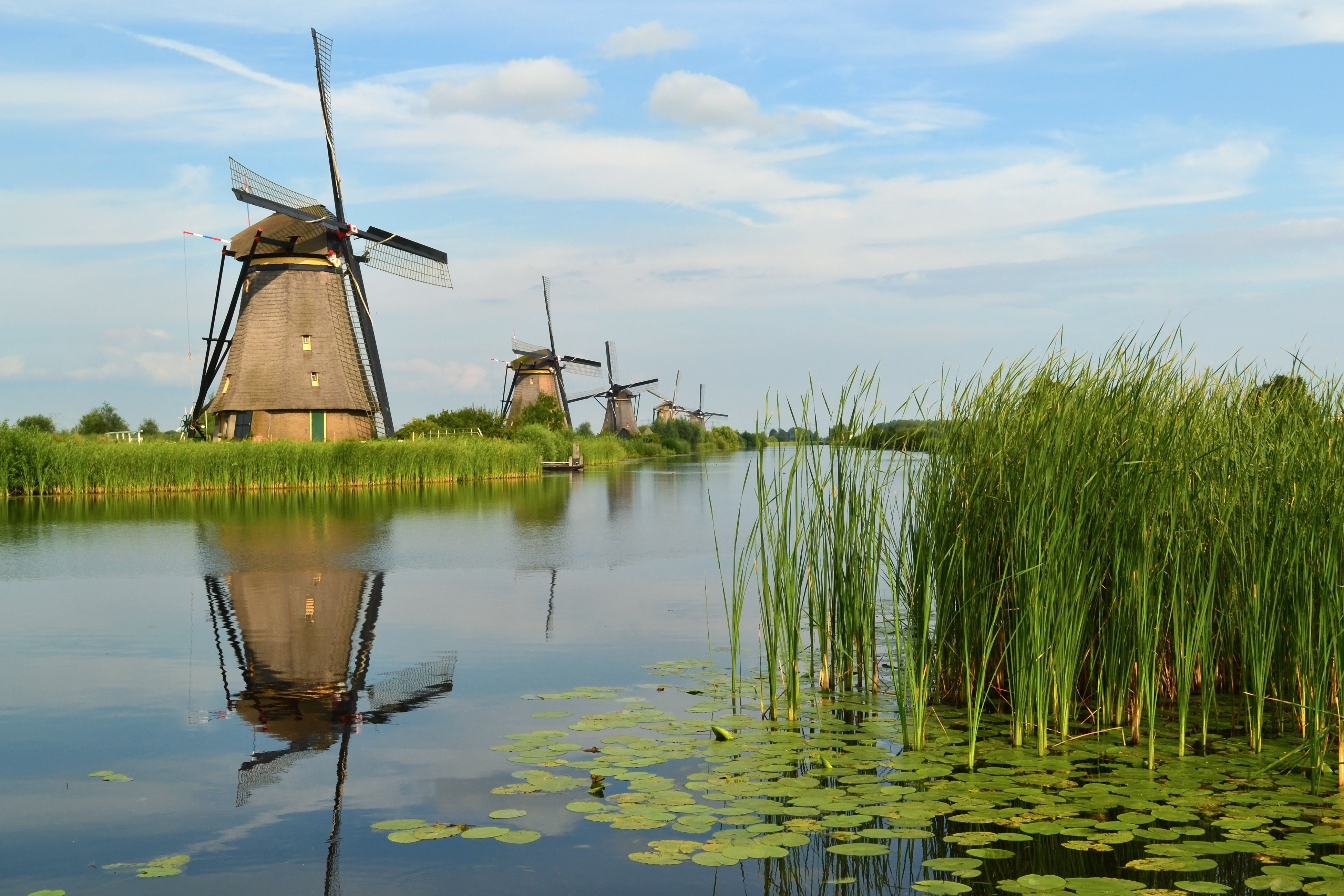 Lokale webshop expert Kinderdijk - webshop laten maken Zuid-Holland