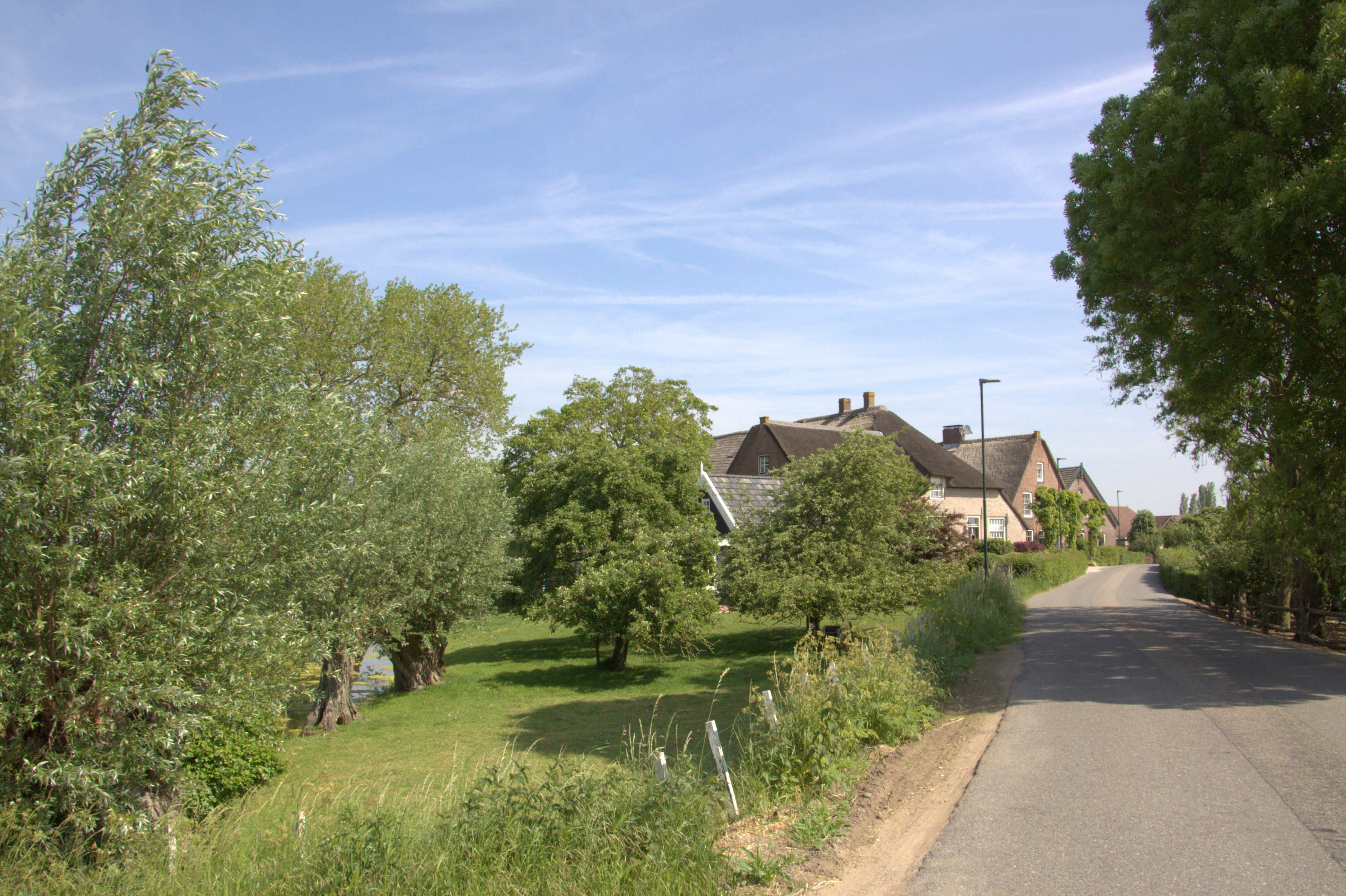 Lokale webshop expert Molenlanden - webshop laten maken Zuid-Holland